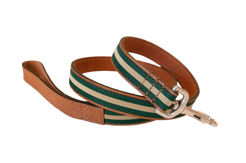 Sail Cloth Dog Lead