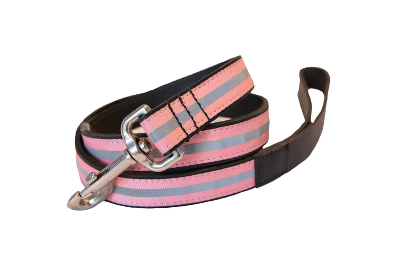 Sail Cloth Dog Lead