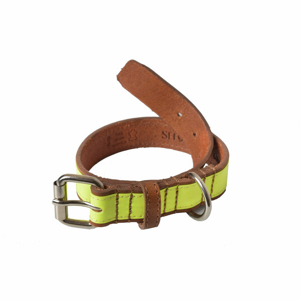 Sail Cloth Dog Collar