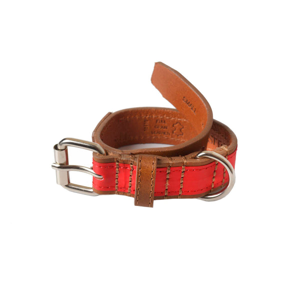 Sail Cloth Dog Collar