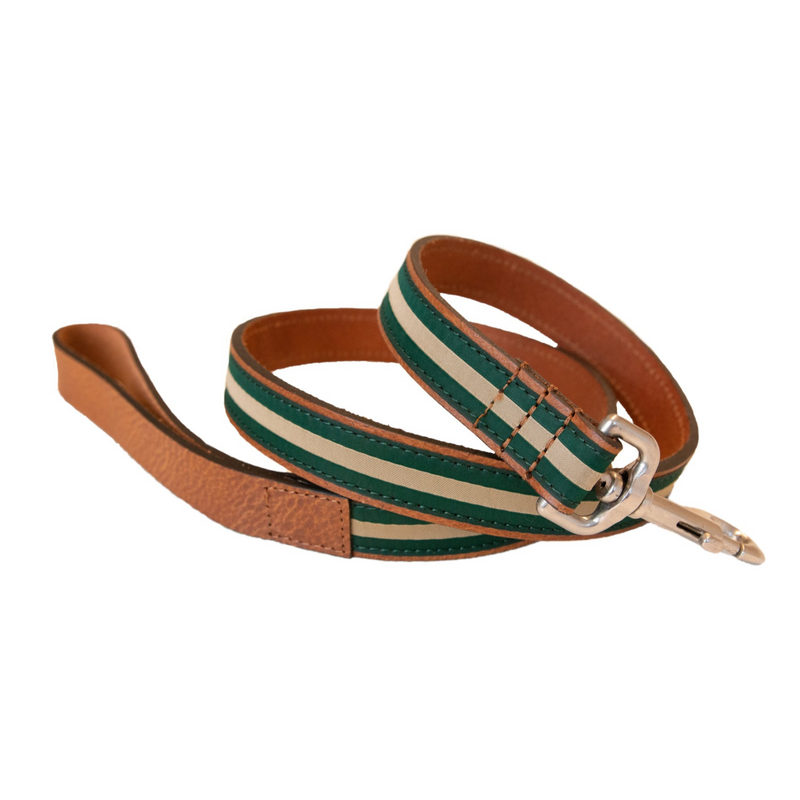 Sail Cloth Dog Lead