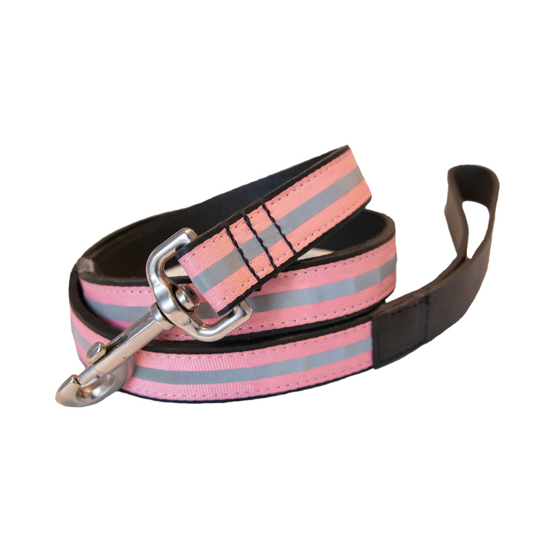 Sail Cloth Dog Lead